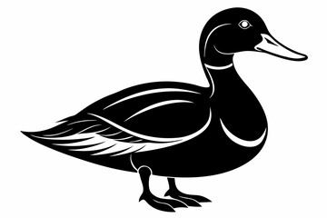 mallard duck line art silhouette vector illustration