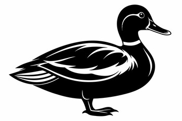 mallard duck line art silhouette vector illustration