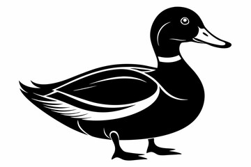 mallard duck line art silhouette vector illustration