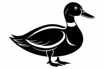 mallard duck line art silhouette vector illustration