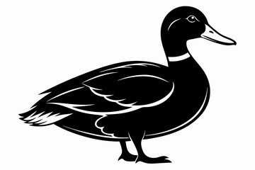 mallard duck line art silhouette vector illustration