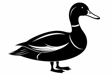 mallard duck line art silhouette vector illustration