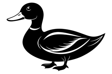 mallard duck line art silhouette vector illustration