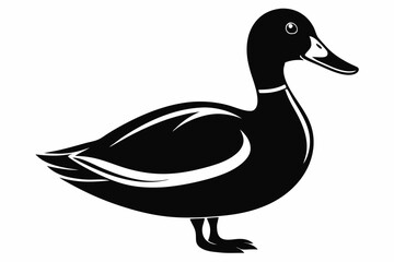 mallard duck line art silhouette vector illustration