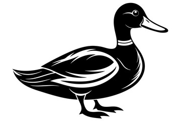mallard duck line art silhouette vector illustration