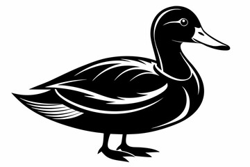 mallard duck line art silhouette vector illustration