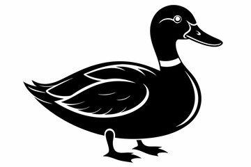 mallard duck line art silhouette vector illustration