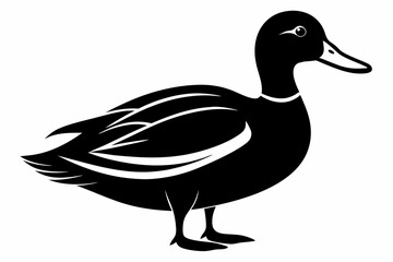 mallard duck line art silhouette vector illustration