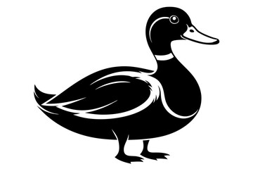 mallard duck line art silhouette vector illustration