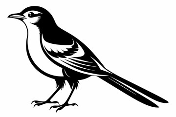 mockingbird line art silhouette vector illustration
