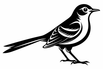 mockingbird line art silhouette vector illustration