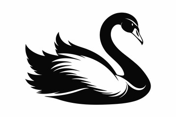 mute swan line art silhouette vector illustration