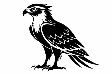 osprey bird line art silhouette vector illustration