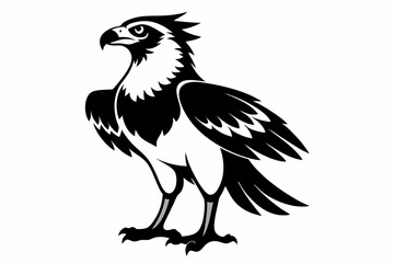 osprey bird line art silhouette vector illustration