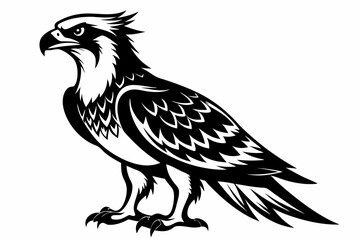 osprey bird line art silhouette vector illustration