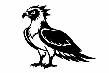 osprey bird line art silhouette vector illustration