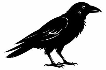 raven line art silhouette vector illustration