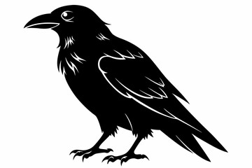 Fototapeta premium raven line art silhouette vector illustration