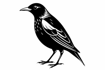 starling  bird line art silhouette vector illustration