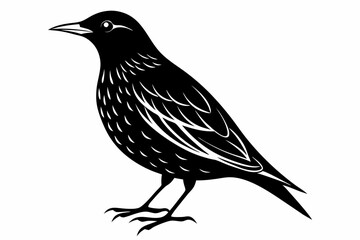 starling  bird line art silhouette vector illustration