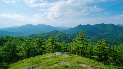 Obraz premium Scenic Mountain Landscape with Lush Green Trees and Blue Sky in Beautiful Natural Environment