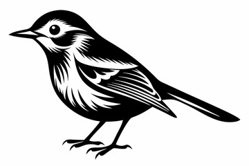 warbler bird line art silhouette vector illustration
