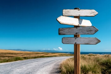 Blank wooden signpost showing multiple directions near country road