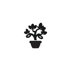 jade plant icon vector image on white background
