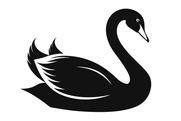 whooper swan line art silhouette vector illustration