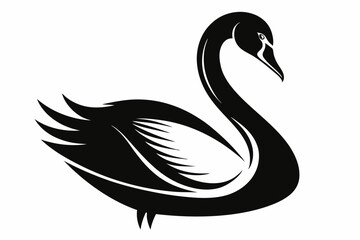 whooper swan line art silhouette vector illustration