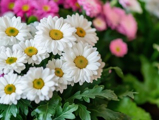 Obraz premium Beautiful Composition of White Daisies and Pink Chrysanthemum Flowers in a Lush Green Garden Setting for Nature and Floral Inspiration