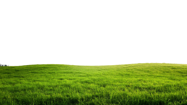 Green grass field with transparent background for easy integration