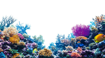 Colorful coral reef and tropical fish swimming on transparent background