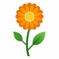 calendula flowers vector icon with white background