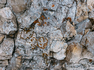 Natural rocky surface with intricate patterns and textures in beige tones, beauty of geological formations