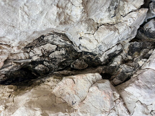 Natural rocky surface with intricate patterns and textures in beige tones, beauty of geological formations