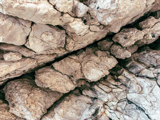 Natural rocky surface with intricate patterns and textures in beige tones, beauty of geological formations