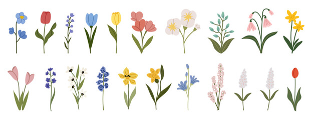 Set of spring and summer flowers. Botanical illustration featuring a collection of delicate wildflowers, leaves, and plants. Minimalist floral illustration. Vector flat illustration.