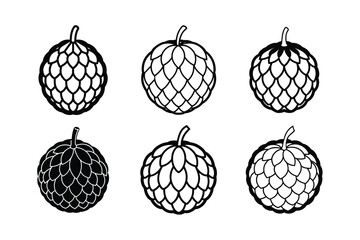 Custard Apple – Annona reticulata line art vector illustration
