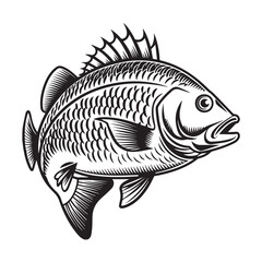 Detailed Black And White Fish Gilgamell Stunning Character.Fish Linear Style Stock