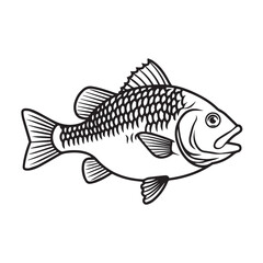 Fish Vector Art Illustration.Grouper line art fish vector white background sea fish.