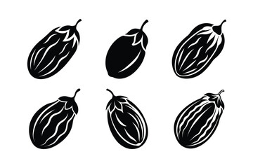 Date – Phoenix dactylifera line art and silhouette vector illustration