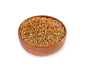 Coriander Seeds Isolated, Cilantro Grains, Chinese Parsley Seed Group, Dry Spices, Seasonings