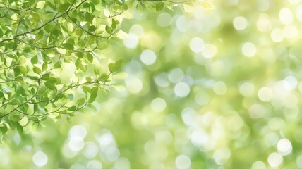 Obraz premium Sunlight Dappled Green Leaves and Bokeh Background