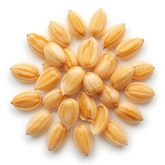 Obraz premium pistachio nuts close up