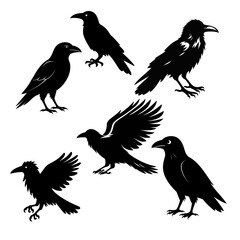 Mysterious Crow Silhouette | Gothic Raven Vector | Dark Bird Illustration