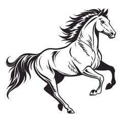 horse vector illustration