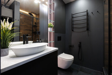 modern bathroom room with toilet and washing machine
