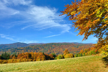 View of colorful autumn leaves and forested mountains against the blue sky