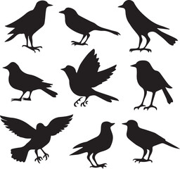 Bird vector, bird, animal, sparrow, feather, flying, animals, wildlife, wild, wing, duck vector set